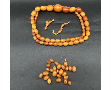 An amber bead necklace and some spares amber pieces, fitted with a 9ct gold safety chain