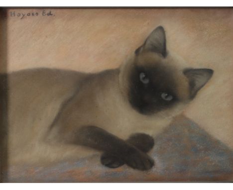 Edmond HOYOIS (1882-1981) pastel on paper "the cat". This painter is as mysterious as his works can be puzzling. The few refe