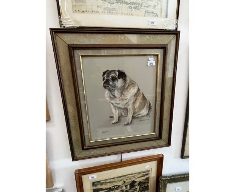 Mary Browing, pug portrait, pastel, 34cm x 40cm, signed and dated (19)72, framed 55cm x 62cm. 