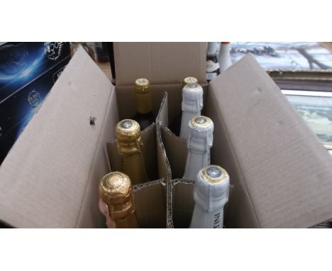 4 bottles of Asti Martini Rossi, bottle of sparkling Martin Brut and 2 bottles of Hungarian white wine