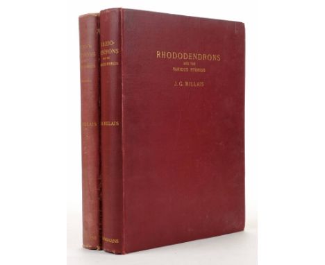 Millais (J.G.). Rhododendrons in which is set forth an account of all species of the genus Rhododendron (including Azaleas) a