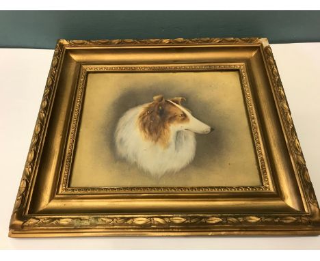 An animal portrait (oil) of a Rough Collie dog, , 46x33cm (frame) 