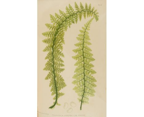 Botany.- Moore (Thomas) The Octavo Nature-Printed British Ferns, 2 vol., first 8vo edition, 122 nature-printed colour plates,