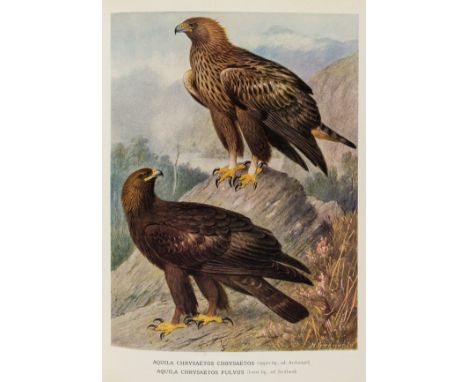 Birds.- Swann (H. Kirke) A Monograph of the Birds of Prey (Order Accipitres), edited by Alexander Wetmore, 2 vol., bound from