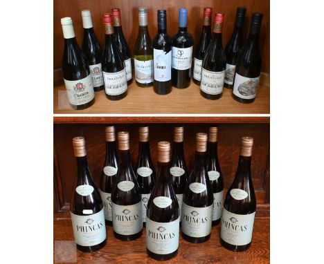 Twenty one bottles of red, white and sparkling wine - two bottles of 2022 Paul Nicolle Chablis Vielles Vignes; nine bottles o