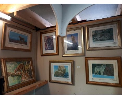 6 framed &amp; glazed prints by Stephen Gayford, tiger, wolves, polar bear, leopard &amp; a framed leopard print COLLECT ONLY