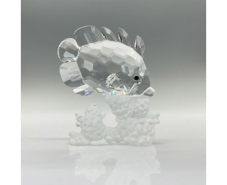 Part of the South Sea theme group. Lead crystal fish made from clear faceted crystal swimming past a frosted crystal coral. S