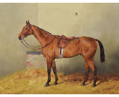 Henry Frederick Lucas Lucas (1848-1943) - Oil on canvas - 'Casino', a portrait study of a race horse, signed and dated 1905 l