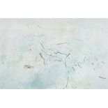 Rosilene Luduvico. „Blow“. 2005