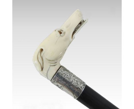 An Edwardian carved ivory handled novelty walking stick, the handle modelled as the head of a greyhound, with an engraved sil