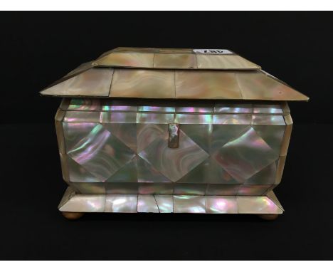 A 19th century sarcophagus shape two section mother of pearl tea caddy with fitted interior, resting on nut bun feet.