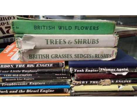 Thomas the Tank Engine books and three Observer books. P&amp;P Group 2 (£18+VAT for the first lot and £3+VAT for subsequent l