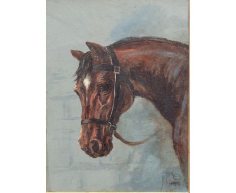 NP (British, early 20th century) Portrait of a chestnut horse watercolour with gum arabic, signed with monogram NP, dated 190