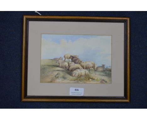 Watercolour Sketch of Sheep by Louisa Holt (unglazed) 