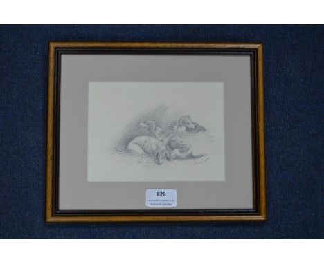 Pencil Sketch of Hounds by Louisa Holt 1837 