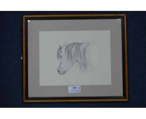 Pencil Sketch of a Pony by Louisa Holt 1841