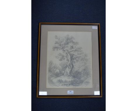 Pencil Sketch of Great Windsor Forest signed Louisa Holt 1833