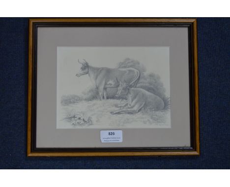 Pencil Sketch of Cattle by Louisa Holt 1837 