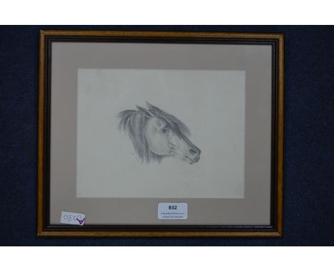 Pencil Sketch of a Pony by Louisa Holt 1836