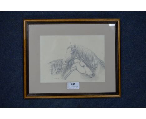 Pencil Sketch of Two Ponies by Louisa Holt 1837