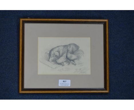 Pencil Sketch of a Pig and Chickens by Louisa Holt 1837 