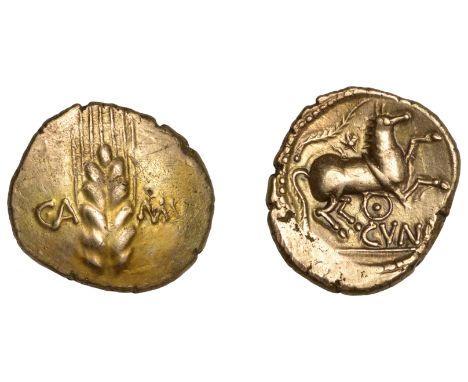 British Iron Age, CATUVELLAUNI, Cunobelin (8-41 AD), gold Stater, Wild B [Ring type], ear of barley dividing ca-mv, rev. hors