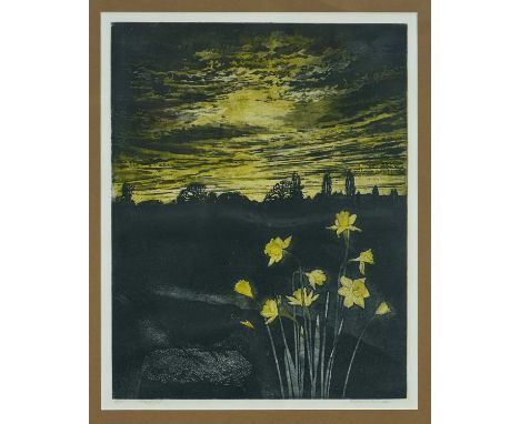 *Richard Bawden (1936-2024) etching and aquatint - 'Blackbird', 3/100, inscribed in pencil, 50cm, x 40cm, in glazed frame