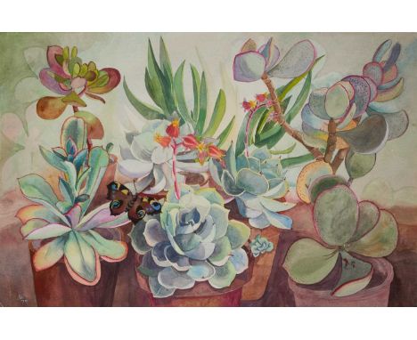 *Joan Warburton (1920-1996) watercolour - Still Life of Succulents, initialled and dated '79, unframed, 36cm x 54cmBasically 