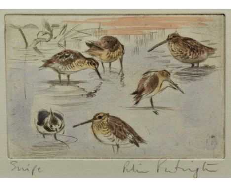 Peter Partington (b.1941) signed coloured etching - Snipe, 11.5cm x 16cm, in glazed frame.Provenance: the artist's studio