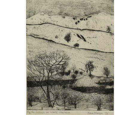 *Jean Sturgis (1931-2018) etching - The Fellside in Winter, Kentmere, signed and dated ‘96, 5/30, 25cm x 20cm, in glazed fram