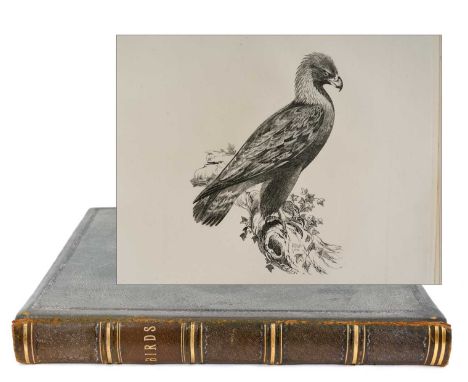 Edward Backhouse Jnr. (1808-1879), bound collection of etchings of birds, circa 1840, with index listing the 32 plates. Bound