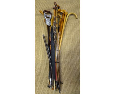 A bundle of walking sticks, umbrellas and shooting stick