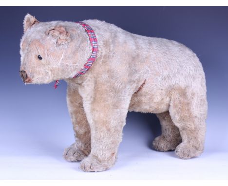 A Steiff mohair standing bear with underscore button in left ear, boot button eyes and stitched nose and paws, height 44cm (b