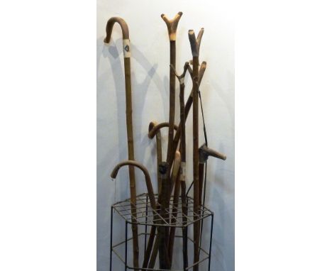 A wire-cage Stick Stand with a variety of (eleven) Staffs and Walking Sticks to include horn-handled examples and an interest