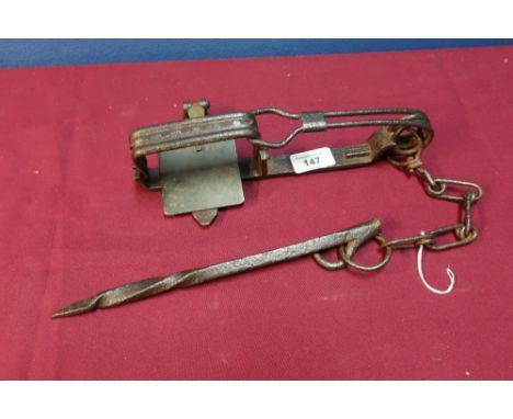 Gin type trap with brass plaque marked RD no.701488 with ground fixing spike 