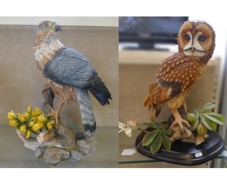 A large and substantial Country Artists model of a barn owl, together with a Country Artists model of a hawk (2)