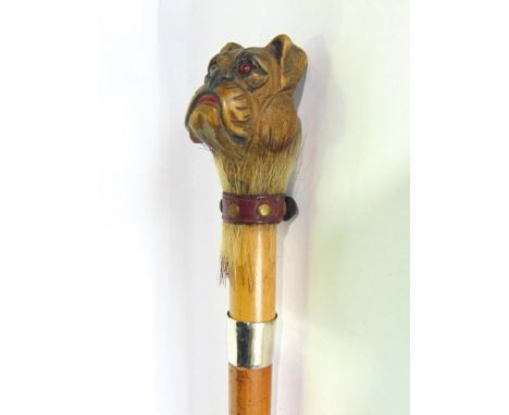 Malacca walking stick with carved wooden bull dog head knop, with novelty red leather collar, 87cm long
