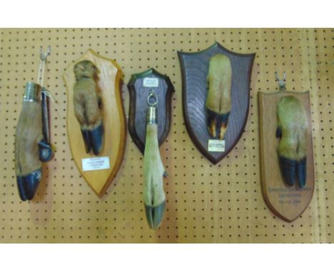Collection of trophy deer hooves four fitted on oak plaques another in the form of a door knocker, one inscribed verso P. Spi