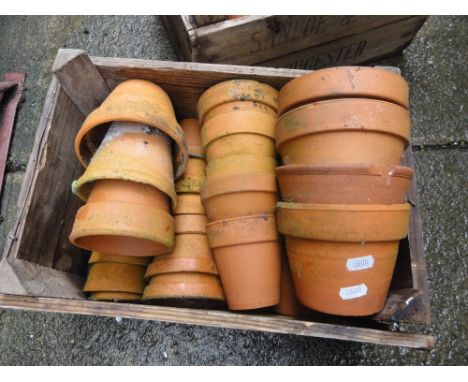 Two vintage wooden crates containing a quantity of small terracotta flower pots.