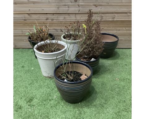 Set of six garden planter pots 