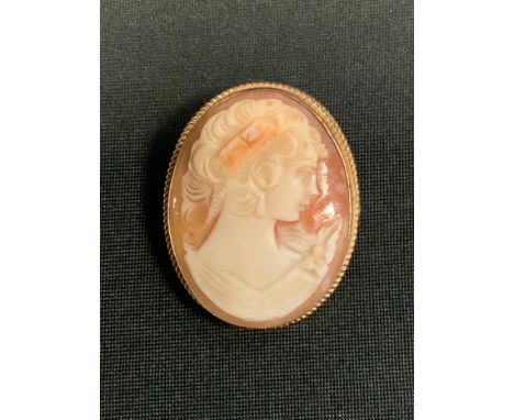 An oval cameo portrait brooch, 9ct gold frame, Birmingham 1978, 9g gross 