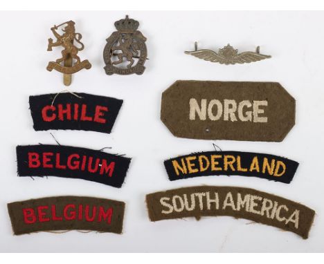 Grouping of Allied Armies in Exile Badges and Insignia, including various cloth shoulder titles, including white on khaki ‘NO