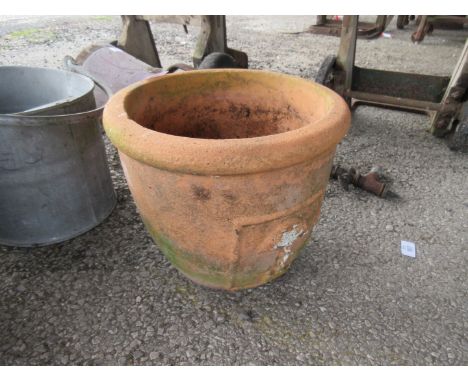 Terracotta moulded planter