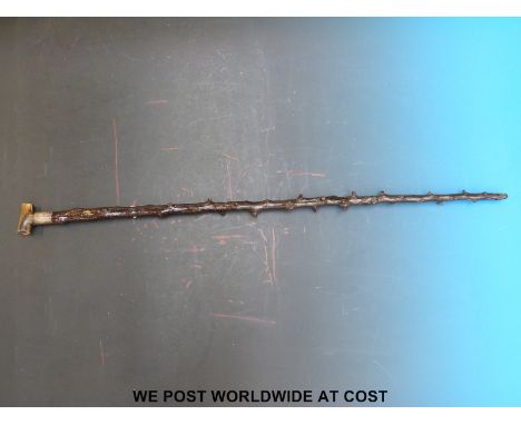 A 19thC Irish blackthorn shillelagh walking stick with horn handle (length 91cm)