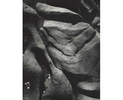 Artist: Ansel Adams (American, 1902-1984). Title: "Rocks and Limpets, Point Lobos, California". Medium: Original vintage phot