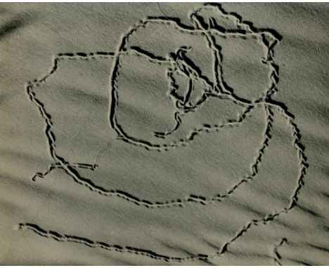 Artist: Edward Weston (American, 1886 - 1958). Title: "Tracks on Sand, Oceano". Medium: Original vintage photogravure. Date: 