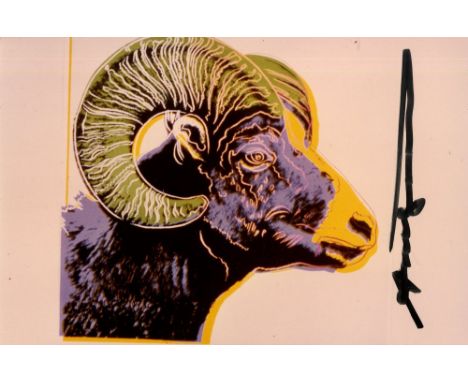 Artist: Andy Warhol (American, 1928 - 1987). Title: "Bighorn Ram [photograph]". Medium: Original color analogue photograph. D