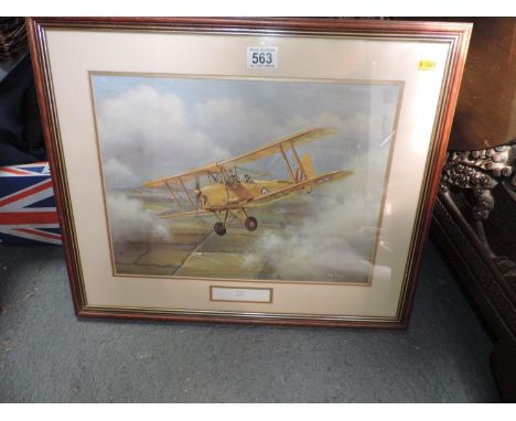 Framed Tiger Moth Print 