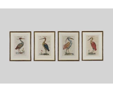 Ulisse Aldrovandi (Italian, 1522-1605)a set of four hand-coloured engravings of birds, taken from 'Ornithologiae hoc est de a