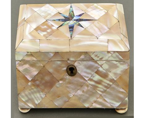 A Victorian mother of pearl and abalone tea caddy, c1840, on vegetable ivory feet, key, 11.5cm l  Good condition